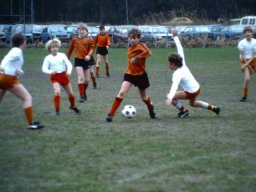 0DIA 1985 RAVA PUPS 1